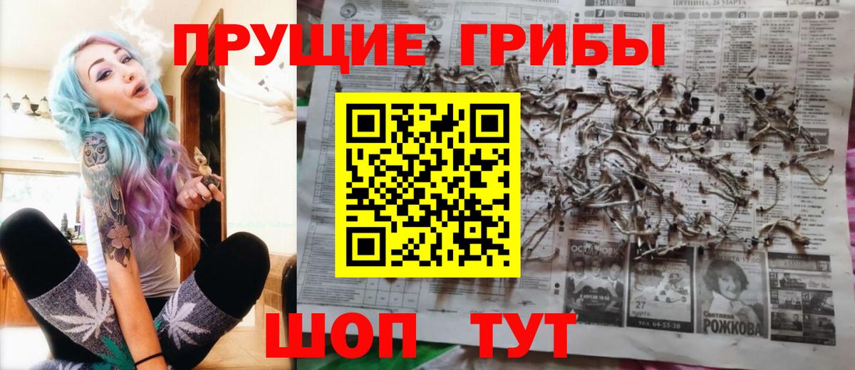 Галлюциногенные грибы прущие грибы  Вход с VPN  Фролово  Псилоцибиновые грибы MAGIC MUSHROOMS 